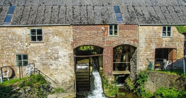 Art exhibition at Mangerton Mill: David Brooke’s paintings